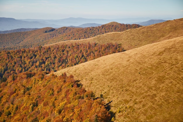 Cordillera de otoño Montañas de los Cárpatos Ucrania Rutas de senderismo y senderismo en la cresta de Borzhava Zona rural de las montañas de los Cárpatos en otoño