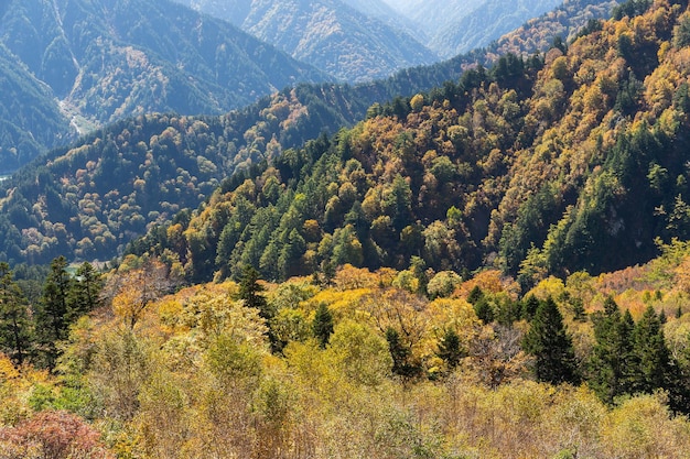 Cordillera en Tateyama