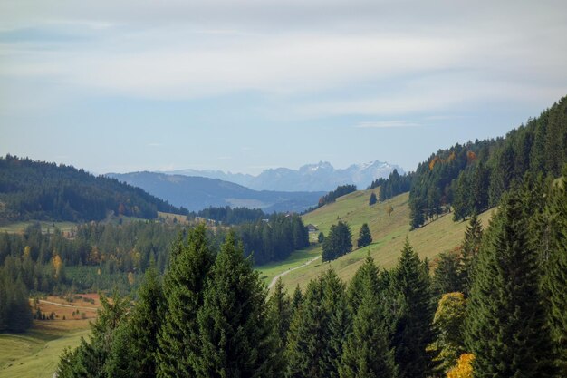 una cordillera se ve en el fondo