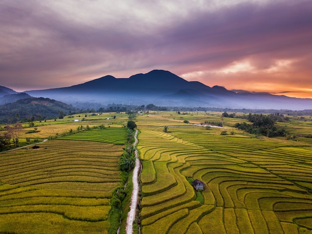 Cordilleras y arrozales por la mañana