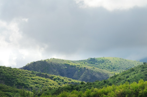 cordilleras y colinas cubiertas de arbustos y plantas forestales