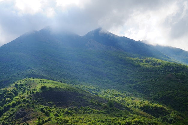 Cordilleras cubiertas de bosques y matorrales