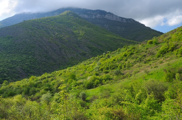 Cordilleras forestales, series de paisajes, Crimea, Ucrania.