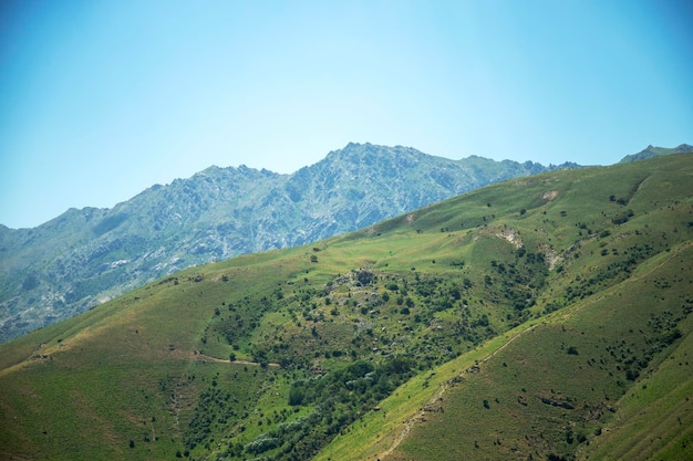 Cordilleras en temporada de verano