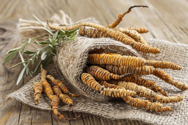 Foto cordycepe sinensis chong cao dong chong xia cao ou cordyceps de cogumelo