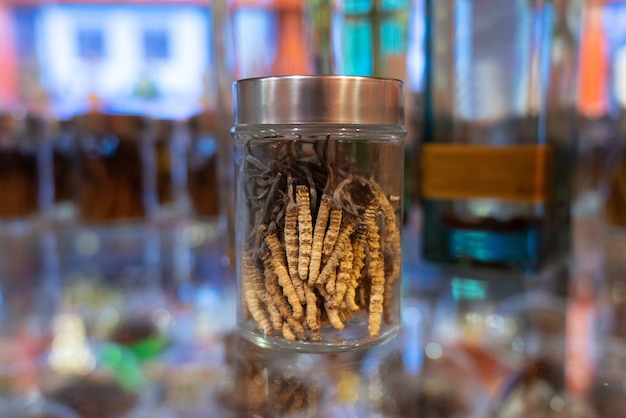 Cordyceps en una botella de vidrio