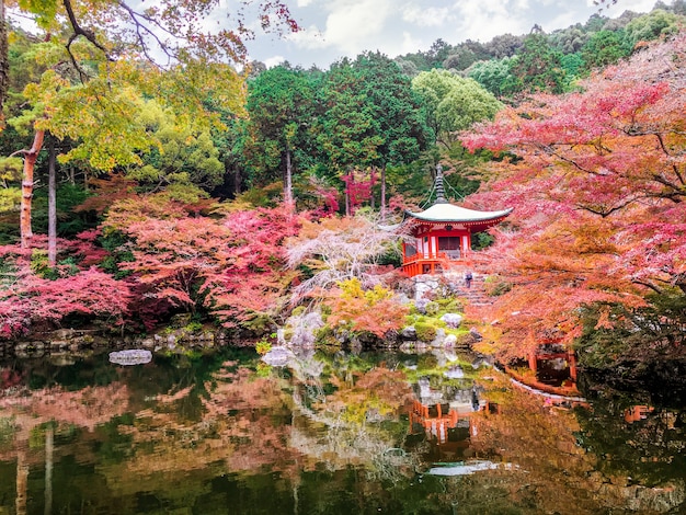 Cores bonitas e multi de árvores de bordo no templo de daigoji com lagoa no fundo do céu azul da reentrância