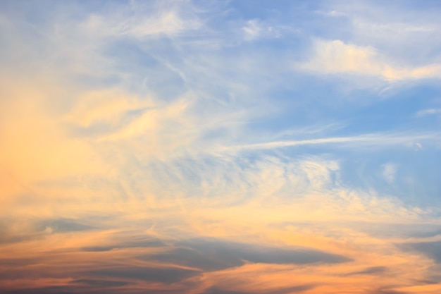 Cores brilhantes em um lindo fundo de céu