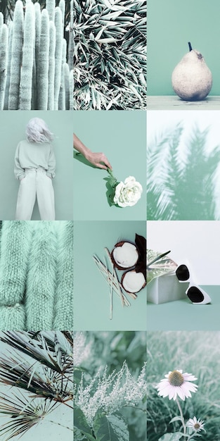 cores de moda minimalista moodboard