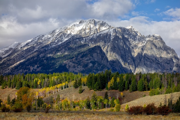 Cores de outono em Wyoming