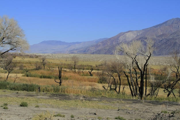 Cores de outono no lago de junho e nas serras orientais da Califórnia