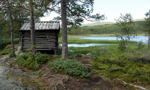 Cores diferentes de uma paisagem norueguesa