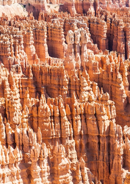 Cores laranja nesta vista icônica do parque nacional de bryce canyon, eua