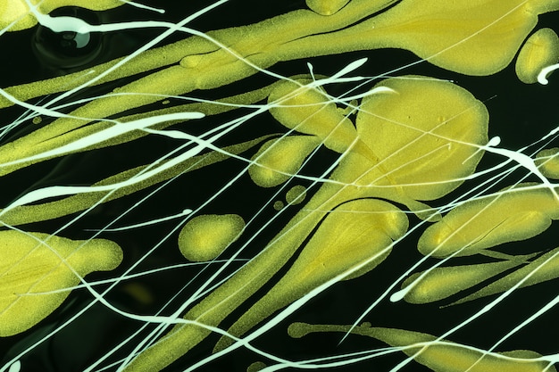 Cores pretas e verdes do fundo abstrato da arte fluida. Mármore líquido. Pintura acrílica sobre tela com linhas brancas e gradiente. Cenário de tinta a álcool com padrão ondulado.
