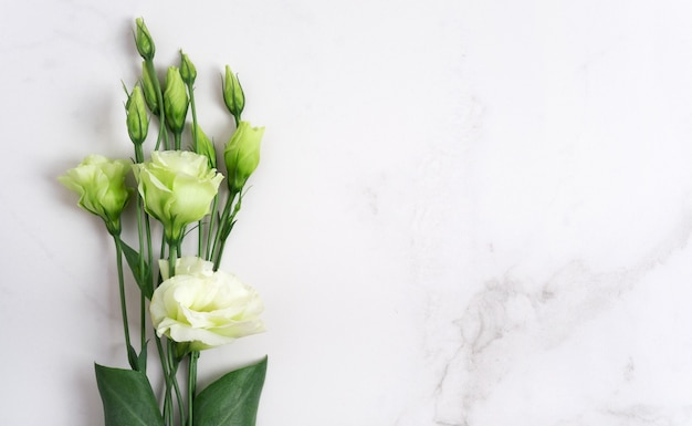 Cores verdes frescas em uma mesa de pedra natural, fundo de mármore branco com espaço de cópia, plano leigo, vista superior.