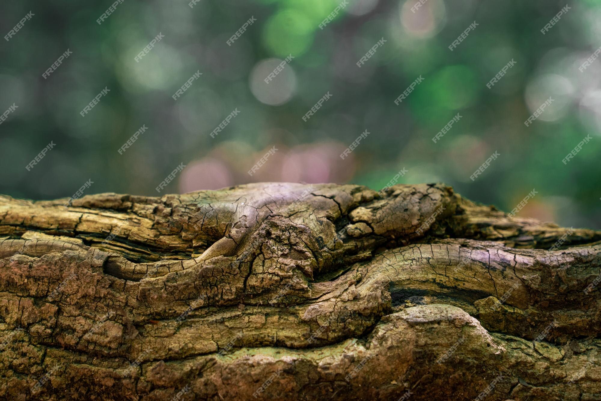 Cores vibrantes de répteis serpente brilhante deslizando à luz do