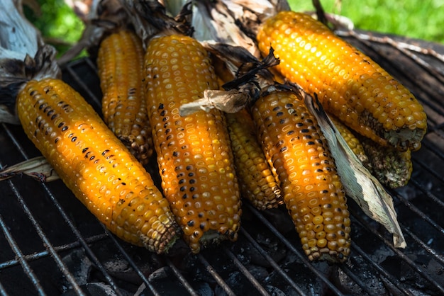 Corncob milho orgânico inteiro na grelha