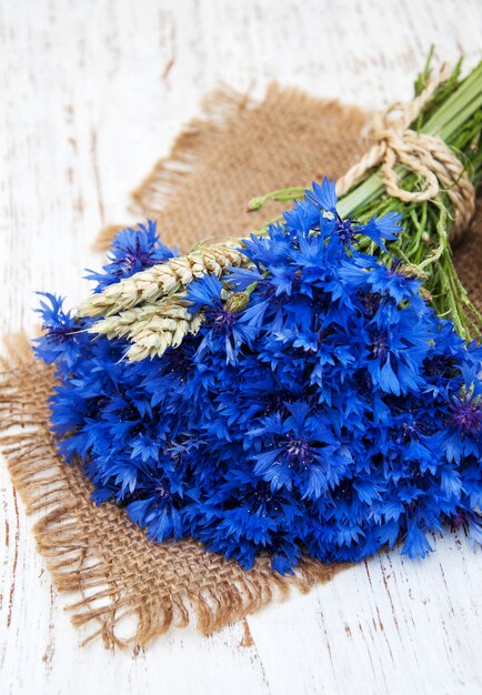 Cornflowers azuis