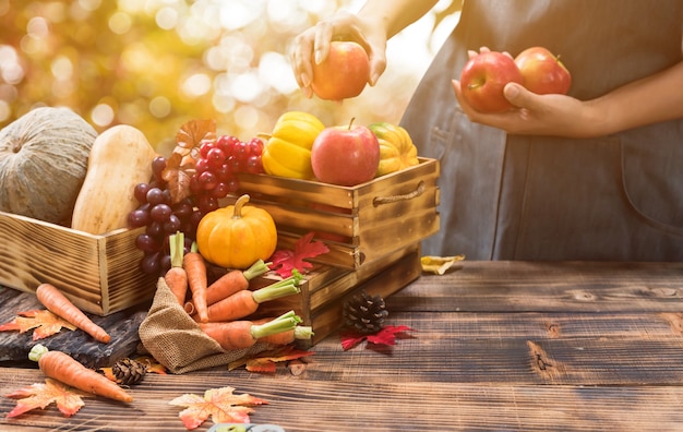 Cornucópia da colheita de outono. Agricultor com frutas e vegetais na temporada de outono. Conceito do dia de ação de Graças.