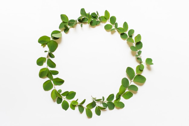 Coroa circular com folhas de plantas verdes