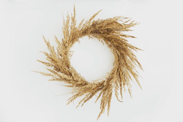 Coroa de boho rústica elegante com grama de pampas seca pendurada no fundo da parede branca isolada