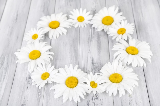 Foto coroa de flores de camomila em fundo cinza de madeira