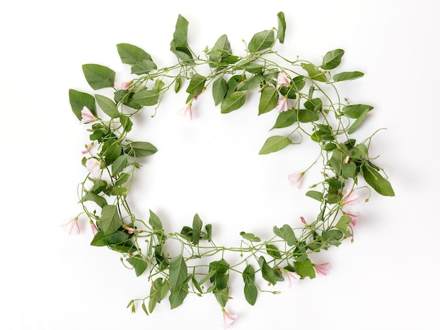 Foto coroa de flores silvestres isoladas sobre um fundo branco