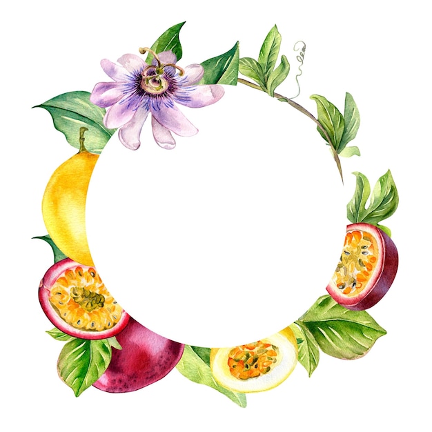 Coroa de frutas tropicais e ilustração em aquarela de flores isolada no fundo branco