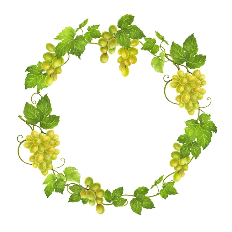 Foto corona de acuarela de hojas y zarcillos de uva para invitaciones de boda o diseños de tarjetas de felicitación