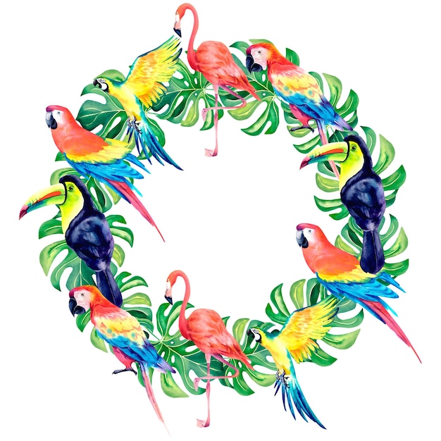 Una corona de aves tropicales Guacamayo flamenco tucán Ilustración de acuarela sobre un fondo aislado Aves exóticas de países cálidos