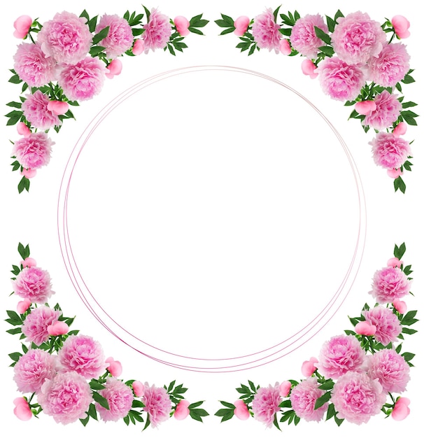 corona floral, arreglo floral de peonías rosas exuberantes, aislado en un fondo blanco