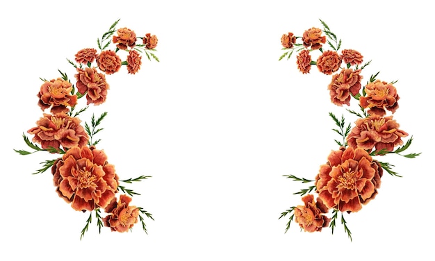 Corona floral con flores de caléndula y hojas verdes aisladas sobre fondo blanco
