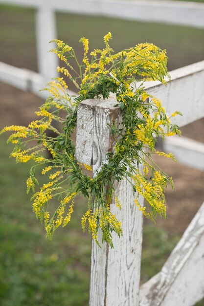 Una corona de flores verdeamarillas en una cerca blanca de madera 3520