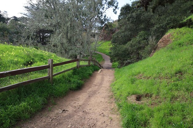 Corona Heights Park San Frnaicsco, Kalifornien