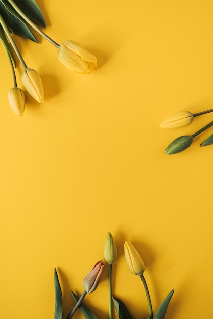 Corona de marco redondo con flores de tulipán amarillo sobre amarillo