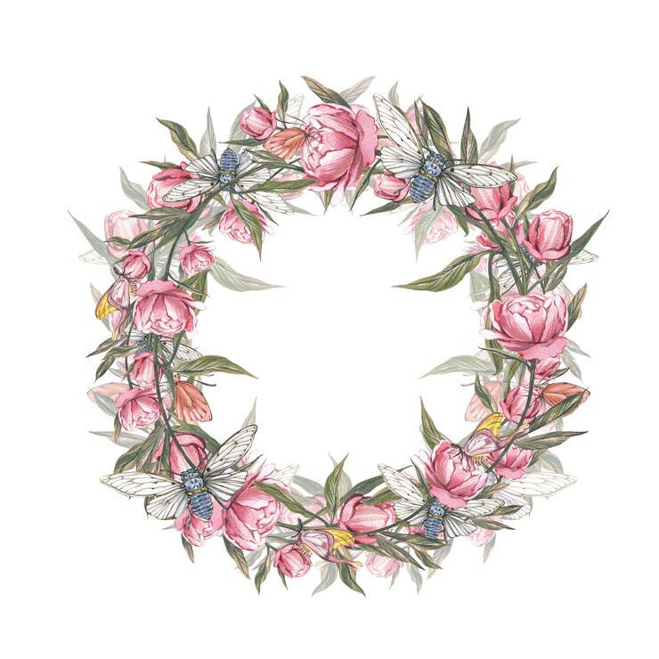 Foto corona de peonía flor de cigarra mariposa aislada fondo blanco acuarela dibujo a mano ilustración botánica