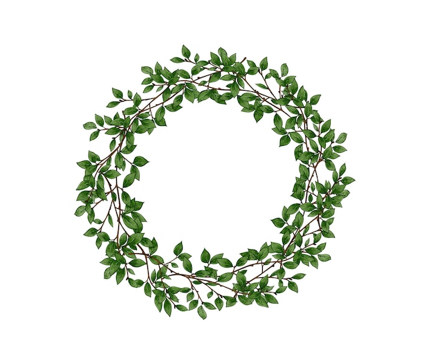 Corona de ramas con hojas verdes en un marco de fondo blanco para la decoración del diseño del logotipo