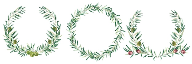 Coronas de aceitunas de acuarela marcos circulares fronteras frutas verdes y rojas aisladas sobre fondo blanco
