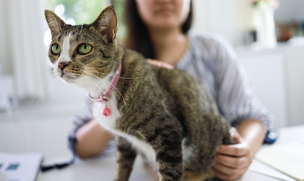 Foto coronavirus. mujer de negocios trabajando desde casa con gato concepto prevención de cuarentena en el hogar situación de brote de coronavirus covid-19