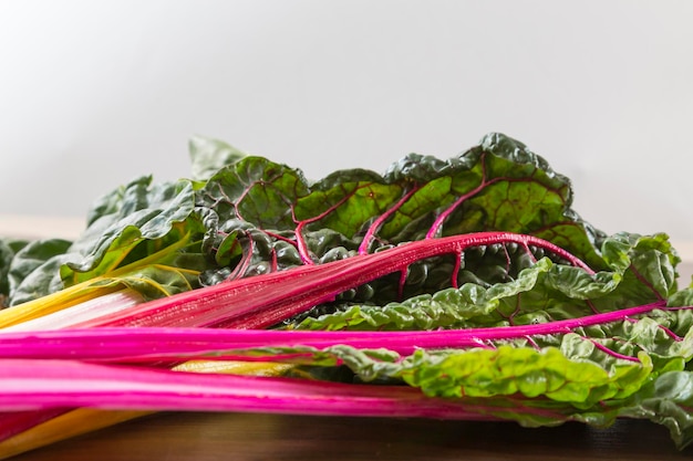 Corpete de folhas de acelga que tem hastes nas cores rosa amarela e vermelha