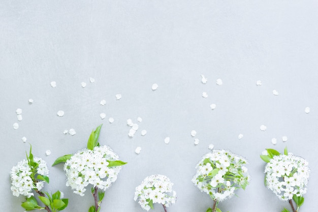 Corpetes de flores brancas com folhas verdes na mesa cinza