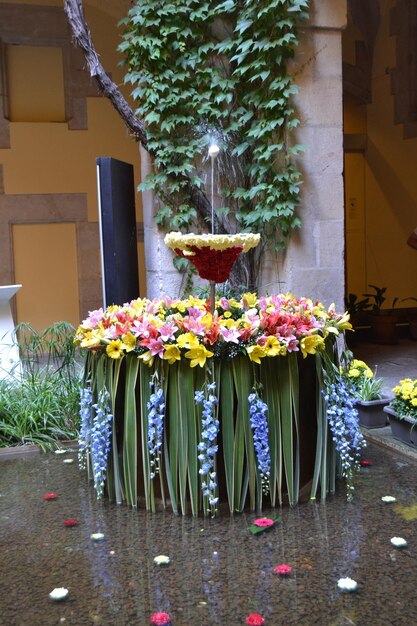 Foto corpus christi barcelona_04