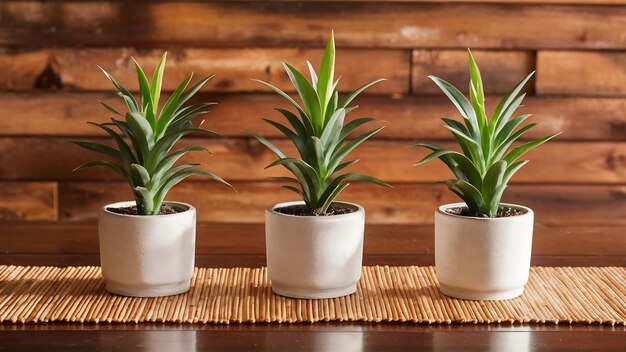 Corredor de mesa de bambú con tres plantas