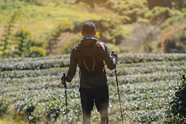 Corredores. Trilha de jovens correndo em um caminho de montanha. Trilha de aventura rodando em um estilo de vida de montanha.