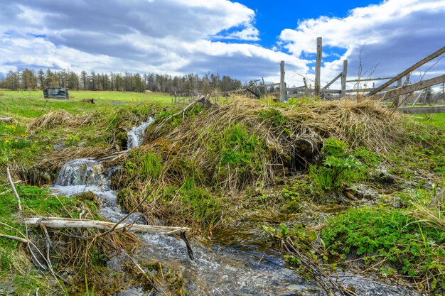 Córrego acidentado do Ural Sul com uma vegetação paisagística única e diversidade de natureza