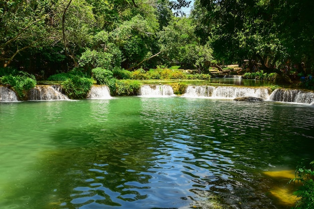 Córrego da bela cachoeira na floresta.