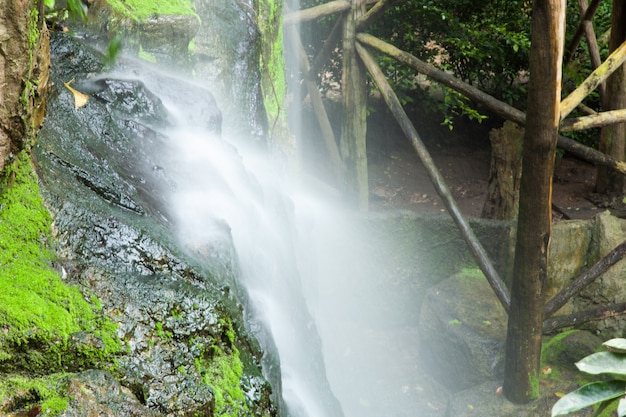 Córrego da cachoeira.