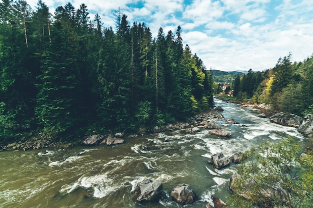 Córrego da floresta correndo sobre rochas uma pequena cachoeira Dia de sol verão Rio fluindo através de uma floresta Paisagem de fundo natureza O córrego desce a encosta ao longo de um leito rochoso