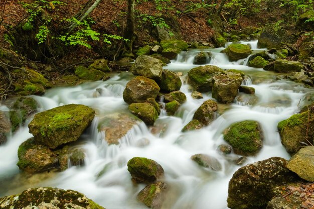 Córrego da montanha de pedras A costa rochosa A água flui sobre as rochas