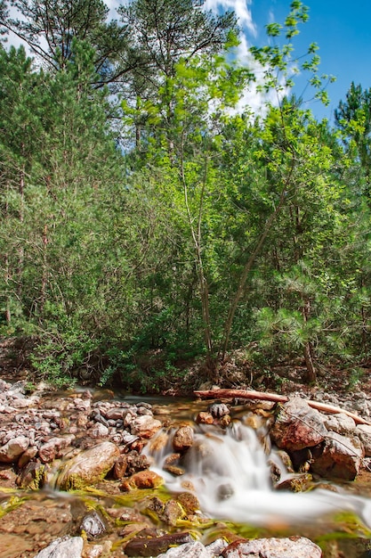 Córrego da montanha entre rochas na floresta turva o movimento da água